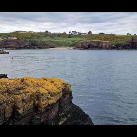 Sandy Cove Dunmore East Buitenkant foto