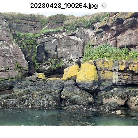Sandy Cove Dunmore East Buitenkant foto