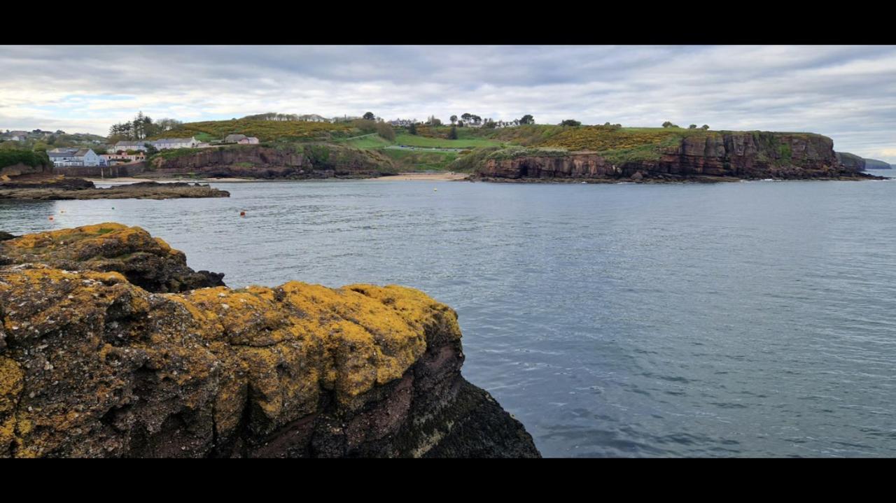 Sandy Cove Dunmore East Buitenkant foto