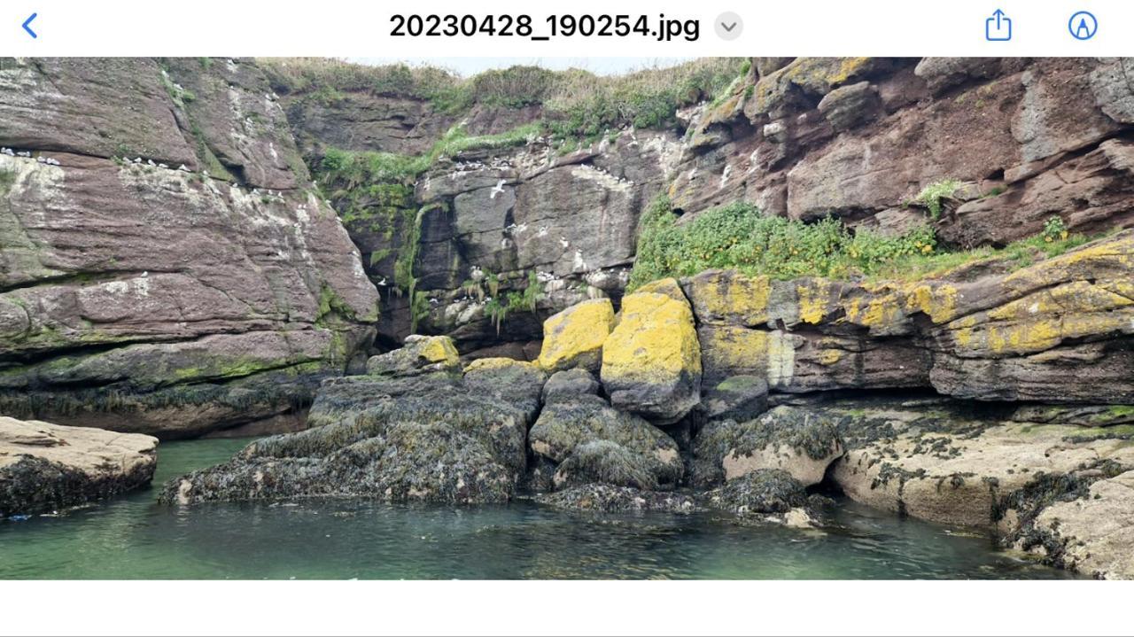 Sandy Cove Dunmore East Buitenkant foto