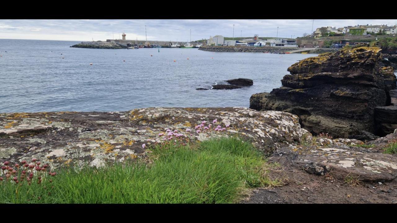 Sandy Cove Dunmore East Buitenkant foto
